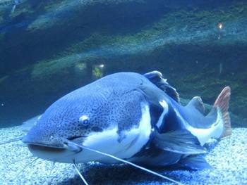 北京工体富国海底世界周一营业,北京工体富国海底世界旅馆