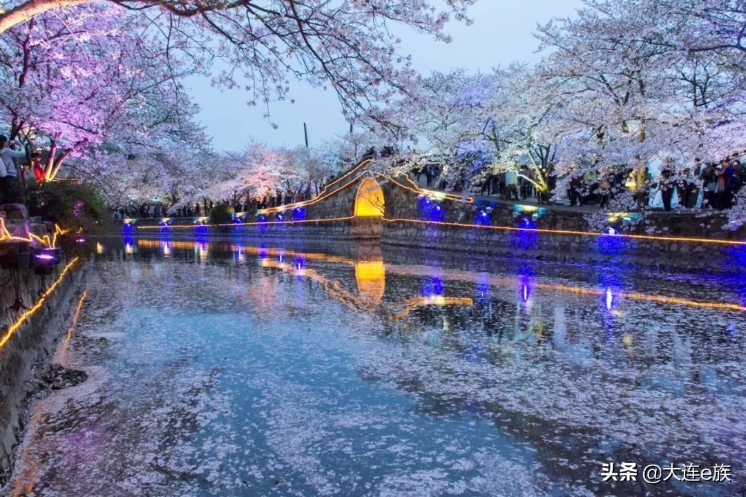 大连出港的打折机票,大连机票降价