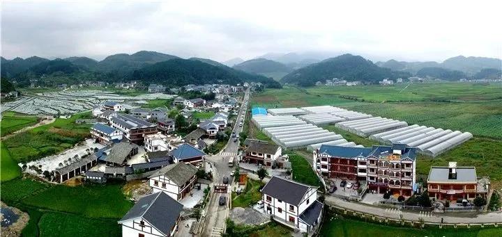 遵义市县区脱贫顺序,遵义的贫困县有哪些