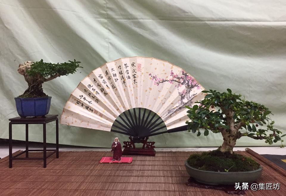 盆景创作的最佳方法,盆景初学入门技巧