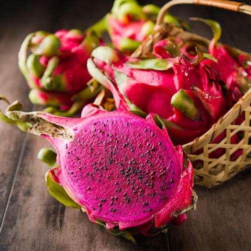 广西野猪“皇后”刘莹的致富经