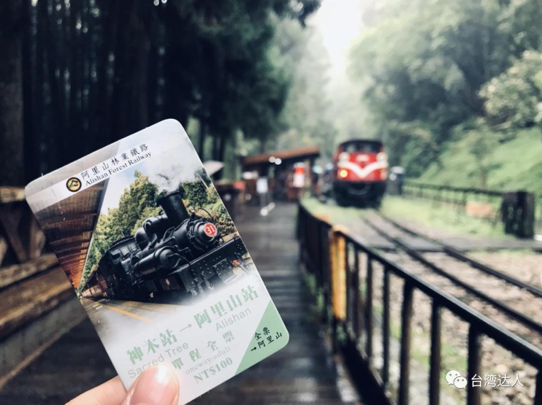 阿里山风景优美令人神往的好地方,阿里山有多美