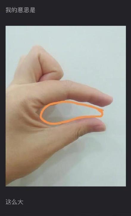 南方蟑螂和北方蟑螂对比恶搞,南方大蟑螂吓哭北方人