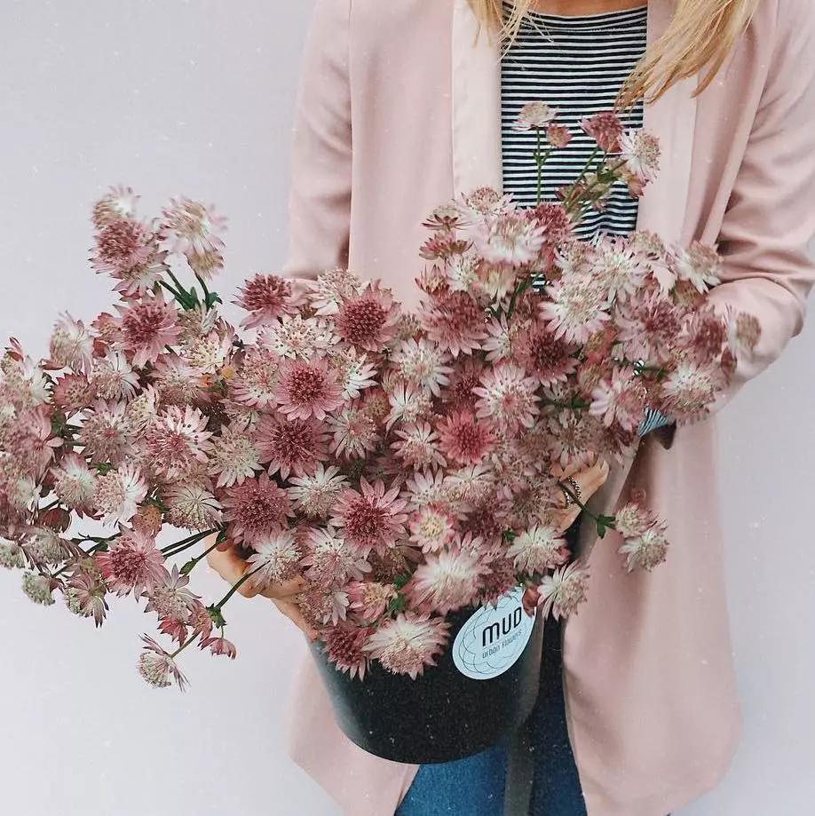 可以在室内燃放的烟花爆竹,植物烟花可以放室内吗