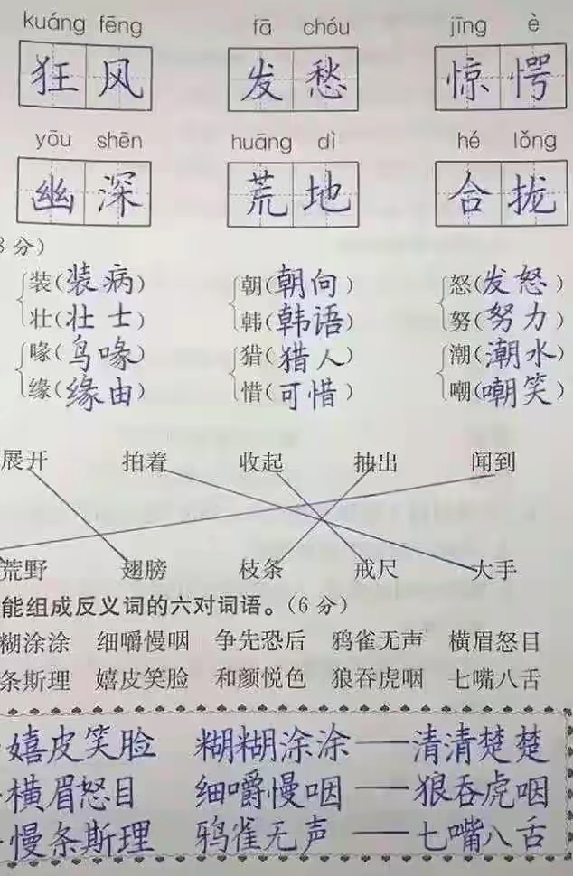 阅卷老师喜欢的英文字体,阅卷老师喜欢的作文结构