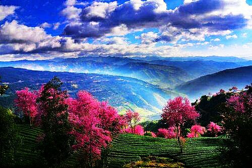 2月抚仙湖怎么玩,抚仙湖七天攻略