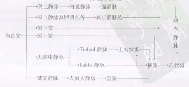 学习|颅脑静脉解剖及引流