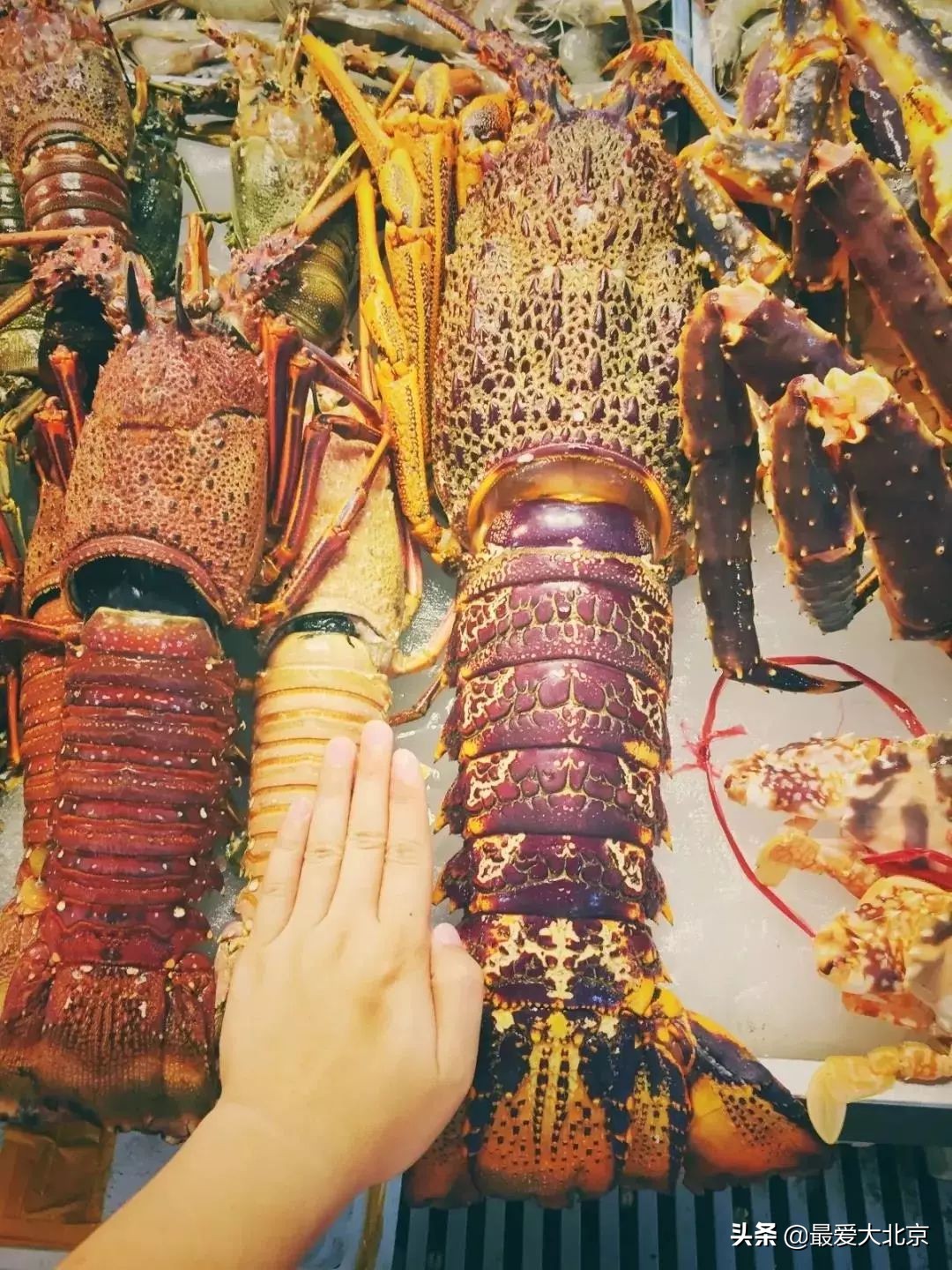 老街坊们，静安市场回来了