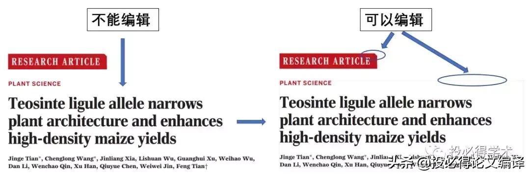 好用的真正免费pdf软件推荐,好用又免费的pdf神器
