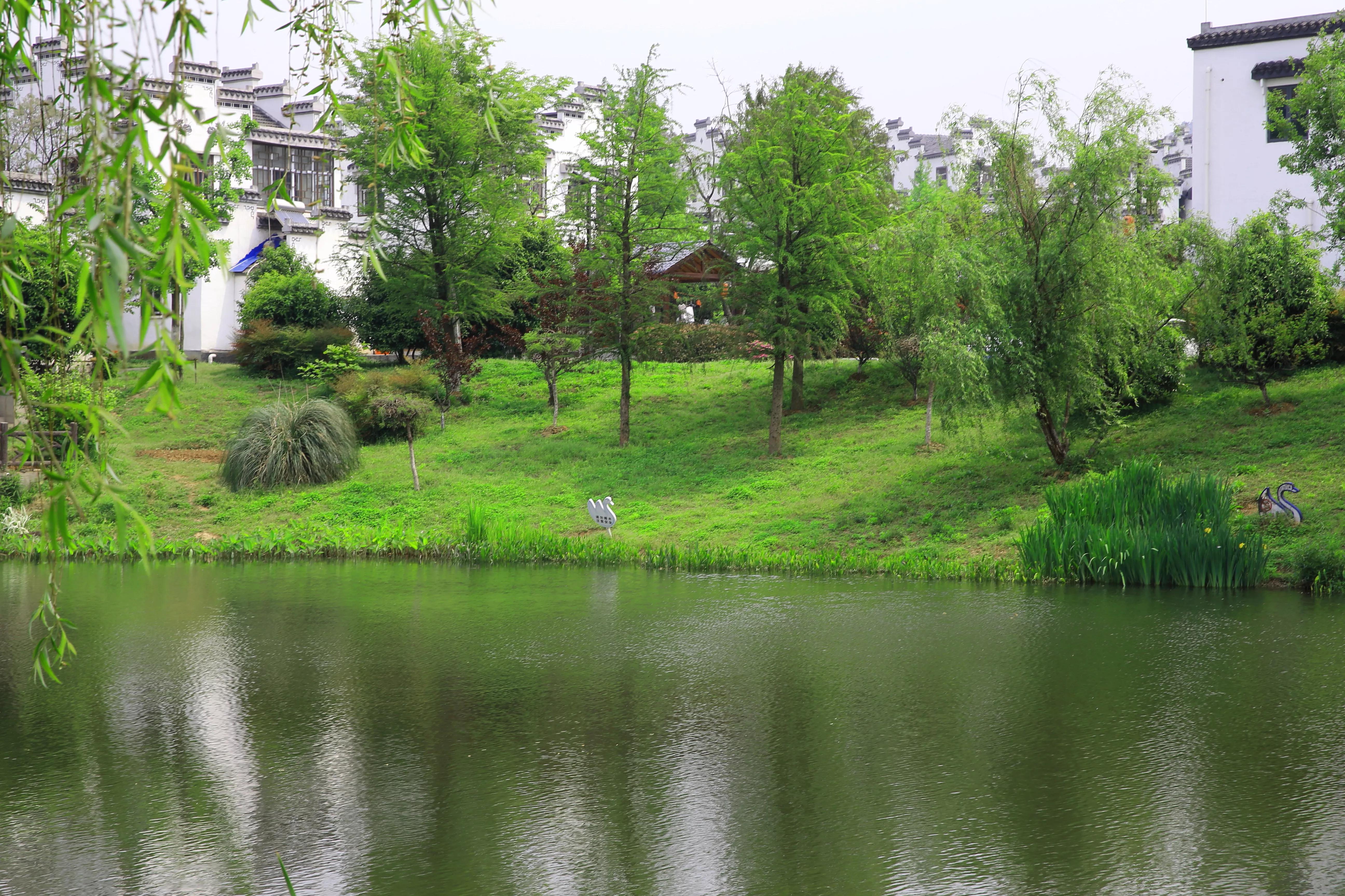 世凹桃园,世凹桃源图片