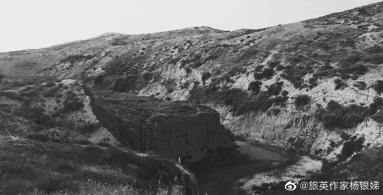 长篇小说《谋取灵魂伴侣》第二十九章截段：兵沟对话（1）