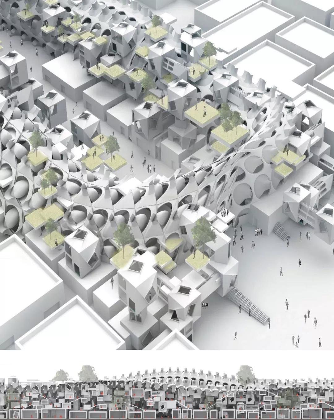 ASRI2020北京+武汉双城冬令营倒计时