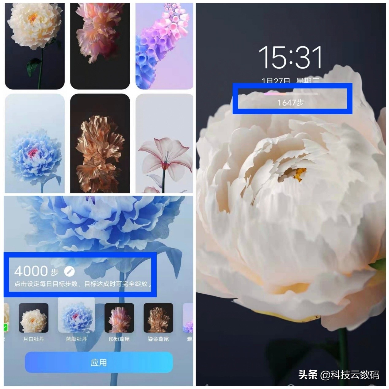 vivoy系列什么时候支持originos,vivo新系统originos4.0发布会