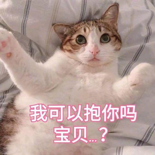 世界历史上的著名猫奴,世界三大猫奴
