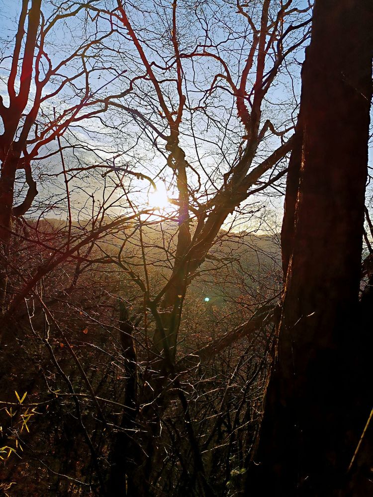 20201101惊悚之行~首阳山大坪梁单日横穿+原返