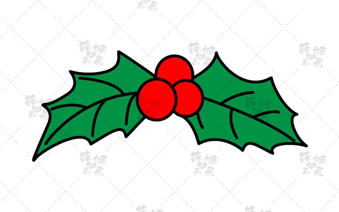 圣诞植物大全,圣诞节植物