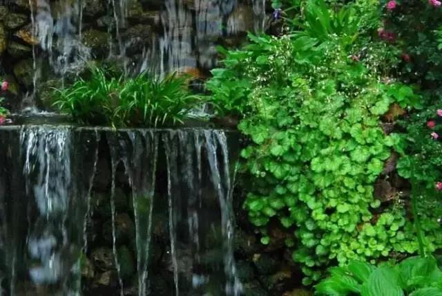 你的房子可以做民宿吗,你的房子真的适合你住吗