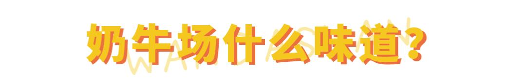 中国人适合喝的奶,哪个牌子的牛奶才是真正的纯牛奶