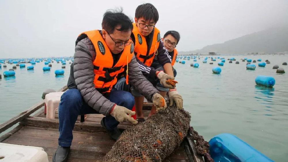 汕头大学郑怀平：把论文写在大海上，八年育成“南澳金贝”