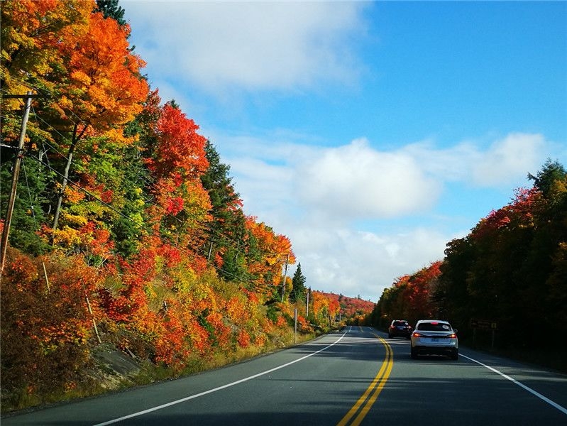 值得自驾游的七条路线,吹爆这4条自驾游线路