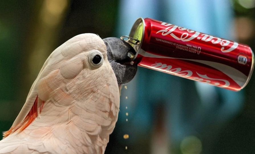 不管春夏秋冬就是喜欢喝凉饮料,夏季无糖碳酸饮料