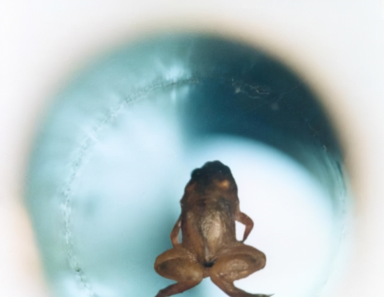 人体在强磁场中会受到伤害吗,人经过强磁场是不是也会产生电压