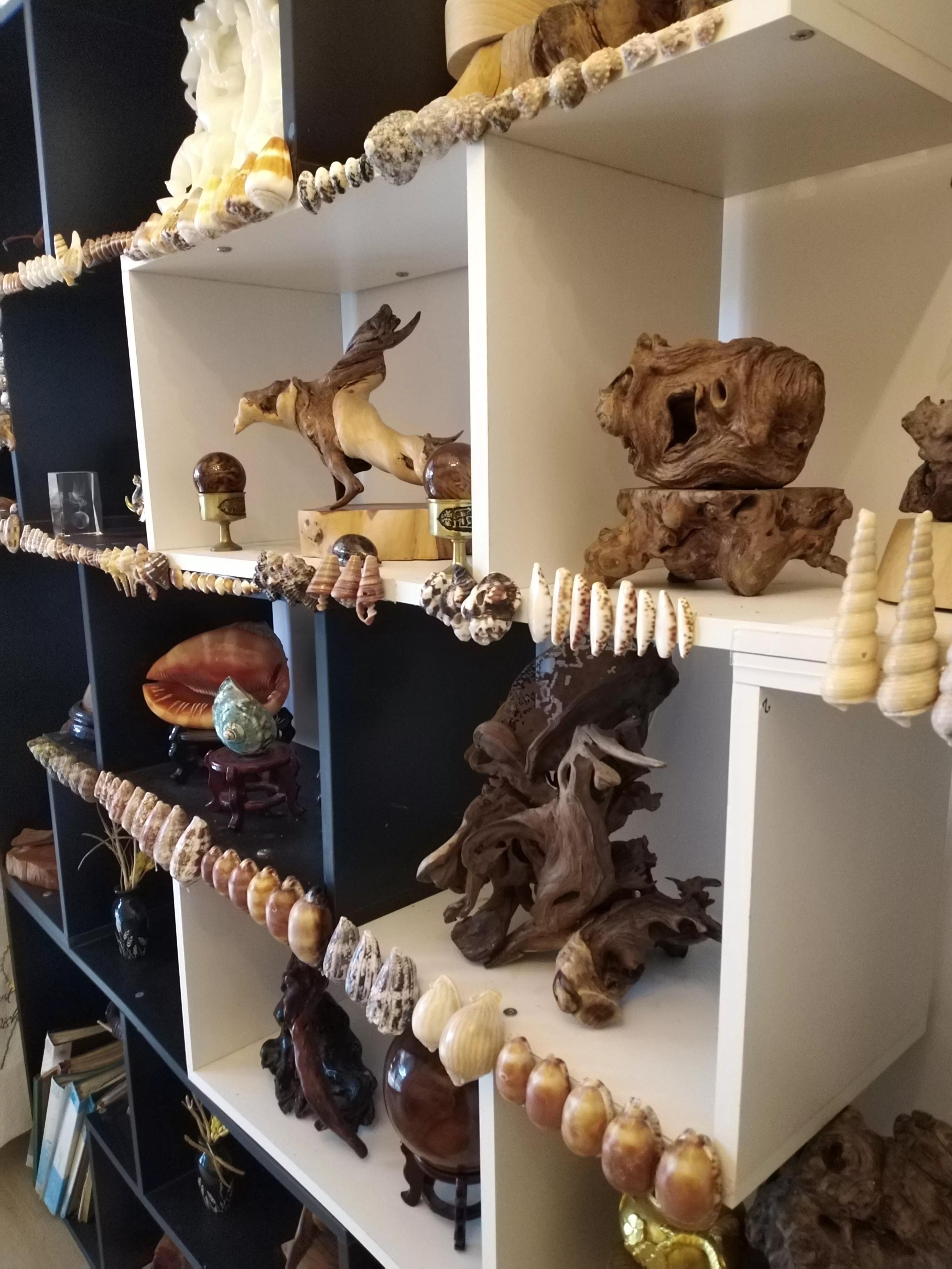 发现大自然的美的作文500字,发现大自然的美一篇作文