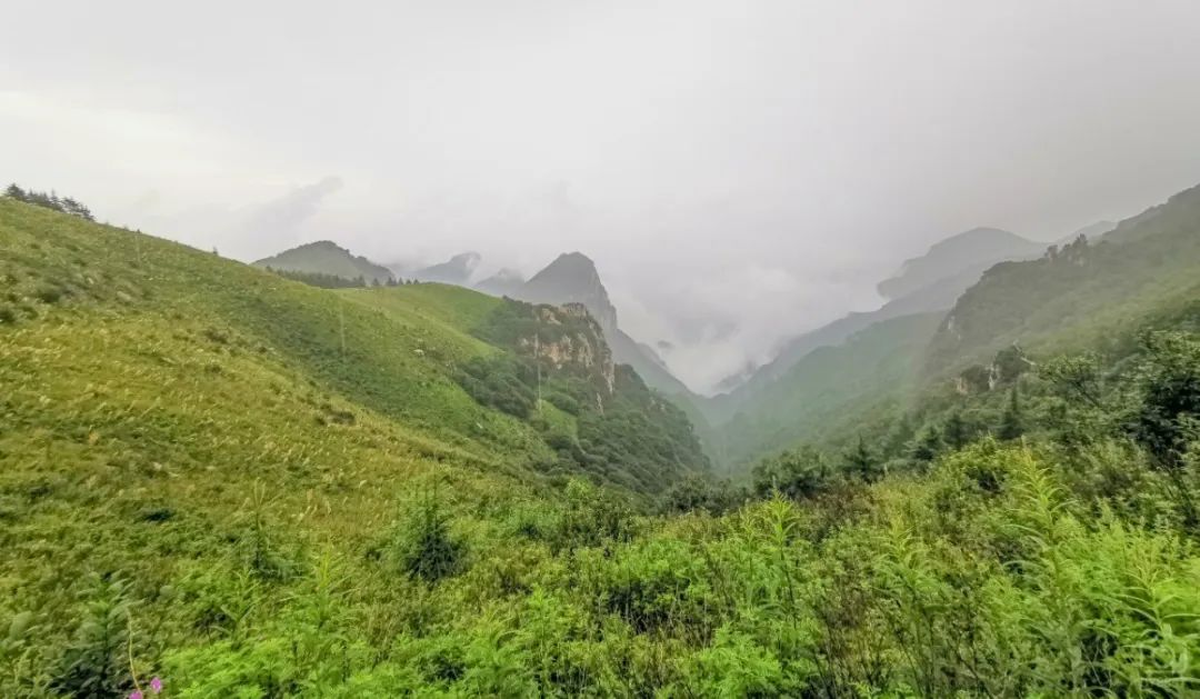 徒步穿越北驼梁完整版,穿越花海古道游记