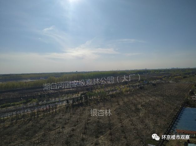 环京楼市2024,环京楼市观察燕郊