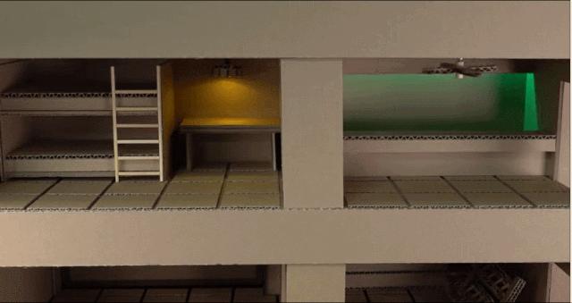 身价300万的仓鼠外网走红！住3层电梯豪宅，丰富娱乐，人不如鼠啊