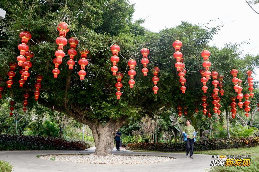 【北海新发现NO72】全城飘红,北海的年味一直都在