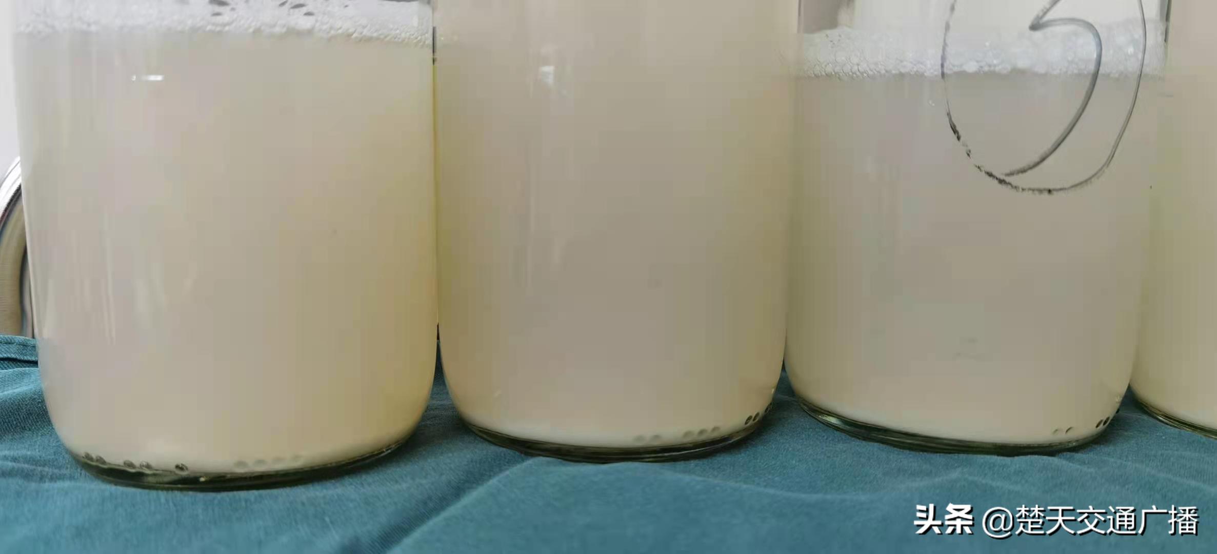 胸闷气喘半年,男子肺里洗出19升“牛奶”