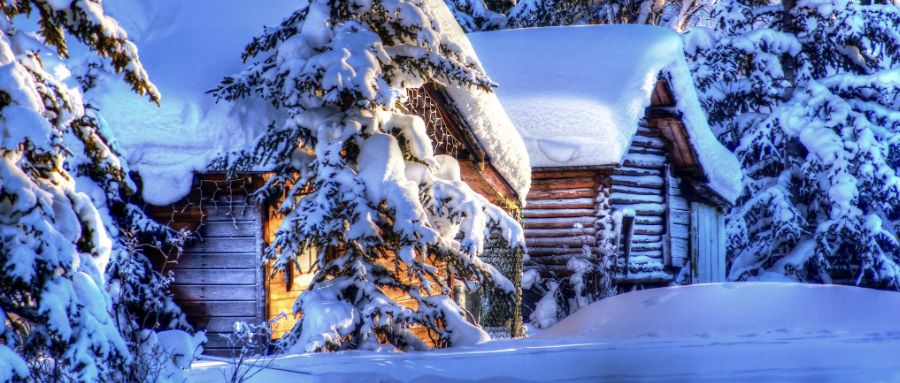 描写雪的诗句大全千树万树梨花开,描写冬天雪景诗句大漠沙如雪