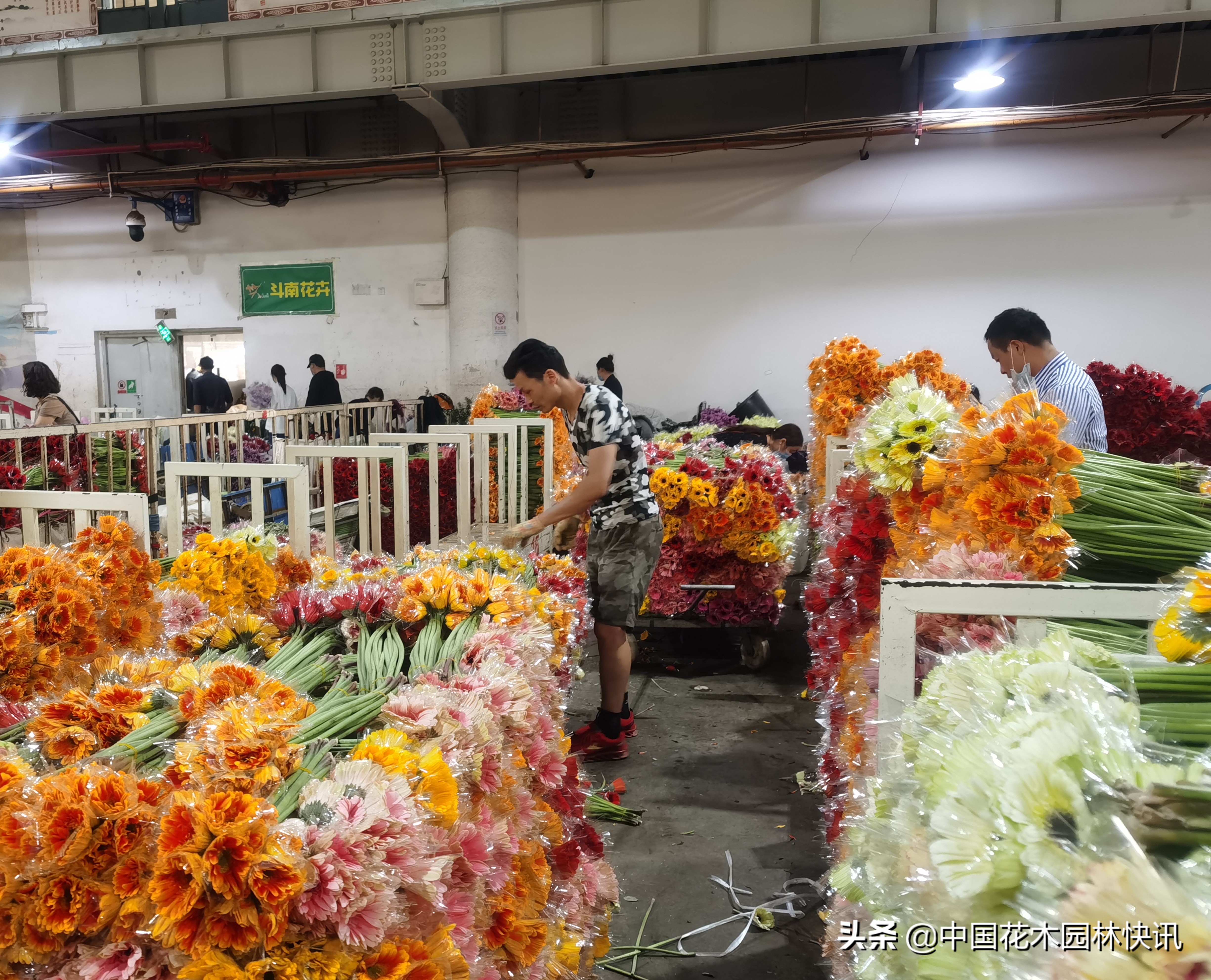 网络营销直播带货的介绍,网络直播营销行为规范