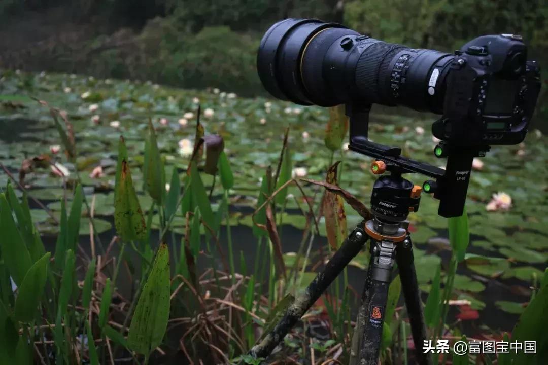 三脚架保养方法,三脚架进沙了怎么清洗