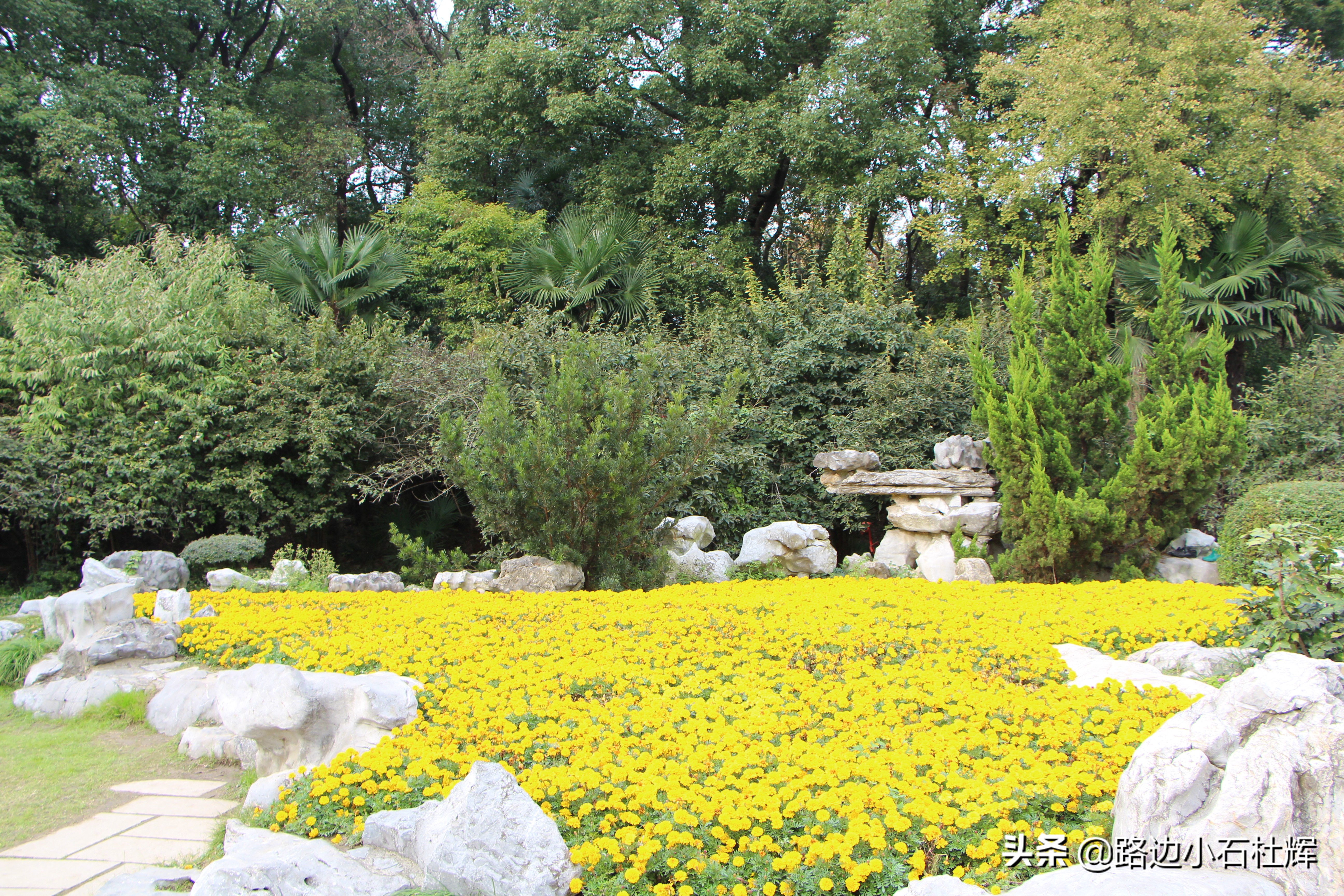 扬州瘦西湖之行,扬州瘦西湖游一圈