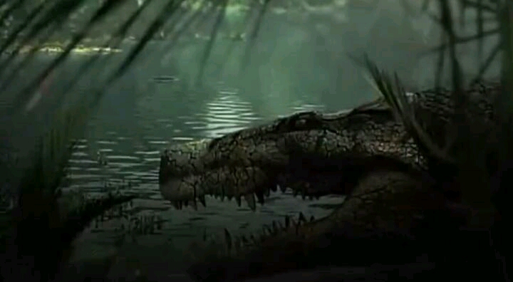 鳄鱼和沧龙还有鲨鱼谁更厉害,巨鳄和沧龙哪个比较厉害