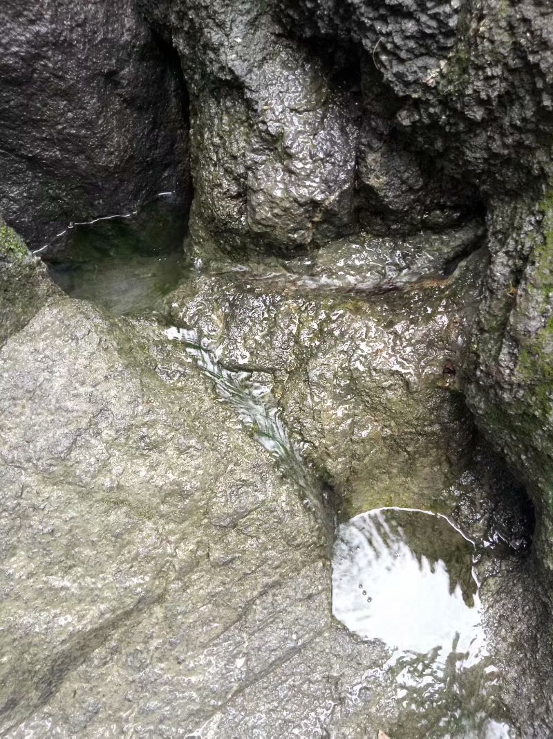 秋天的杨府山公园,秋天的泉山森林公园