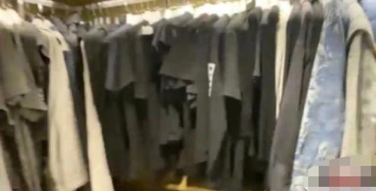 女明星的衣柜图片大全,女明星衣柜效果图