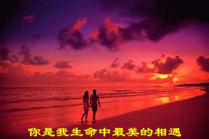 诗霞名字怎么样,诗霞