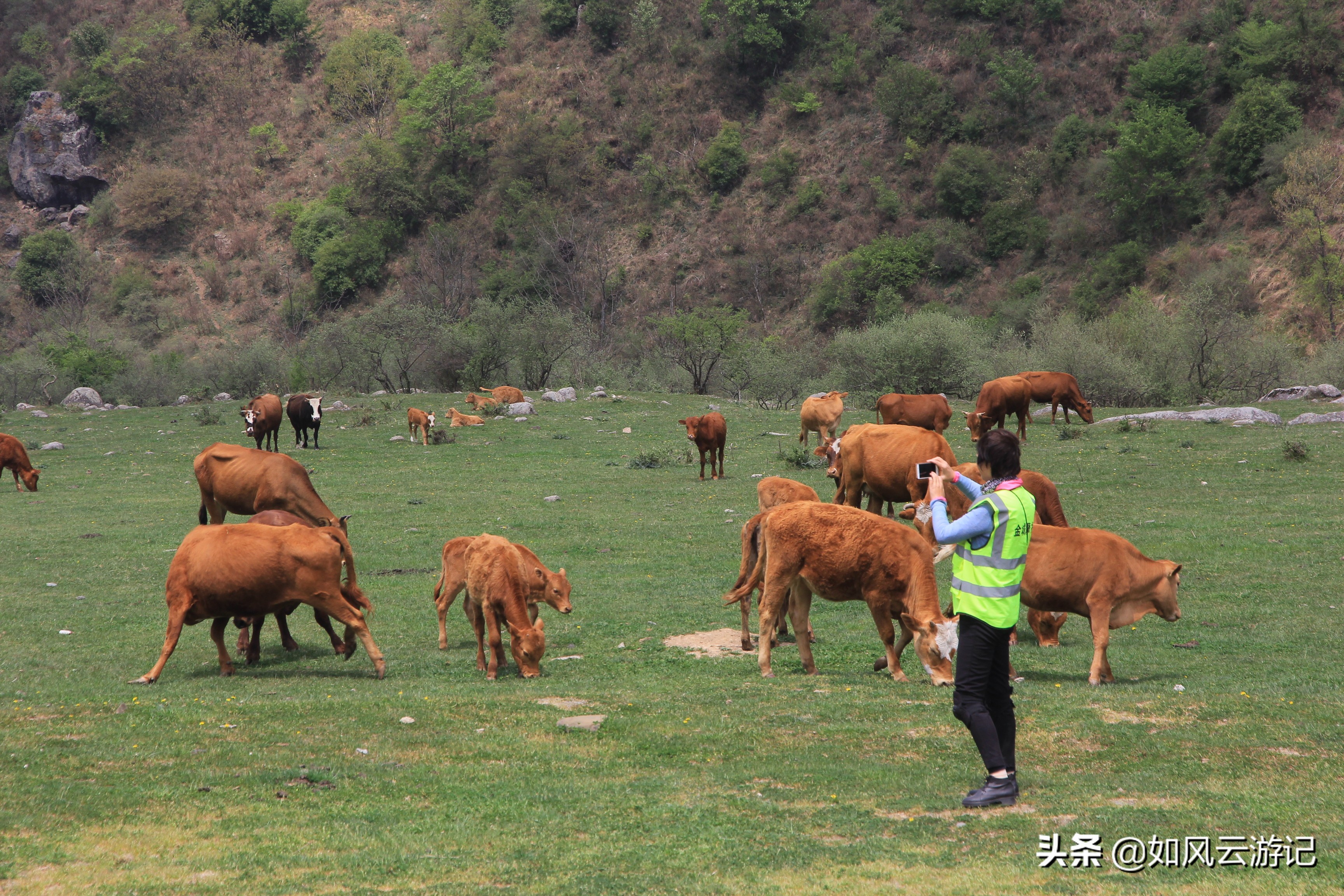 这条连云栈道“弓背线”火烧店—庙台子奇景传说诸多，闺藏深山中