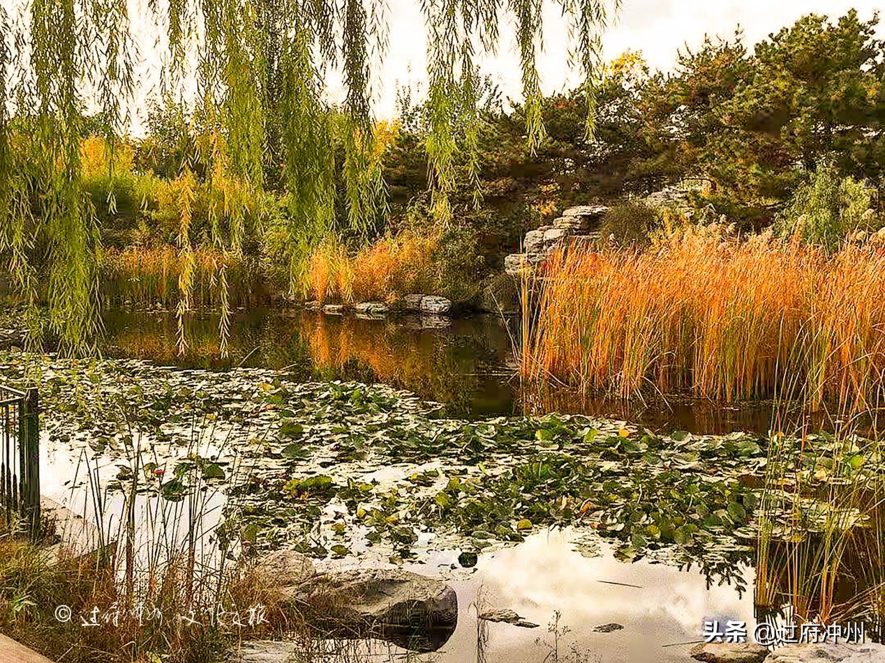 北京古塔公园观音像,北京最大观音像在哪里