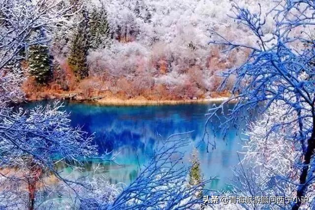 青海隐藏的秘密,青海发现美丽秘境全世界为之瞩目