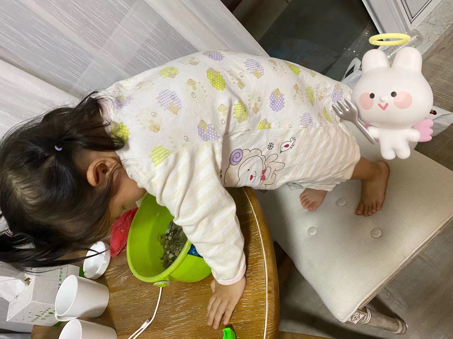 威海旅游的真实感受作文,威海旅游感悟心得小学生