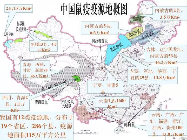 鼠疫有特效药吗,冀连梅药师简介