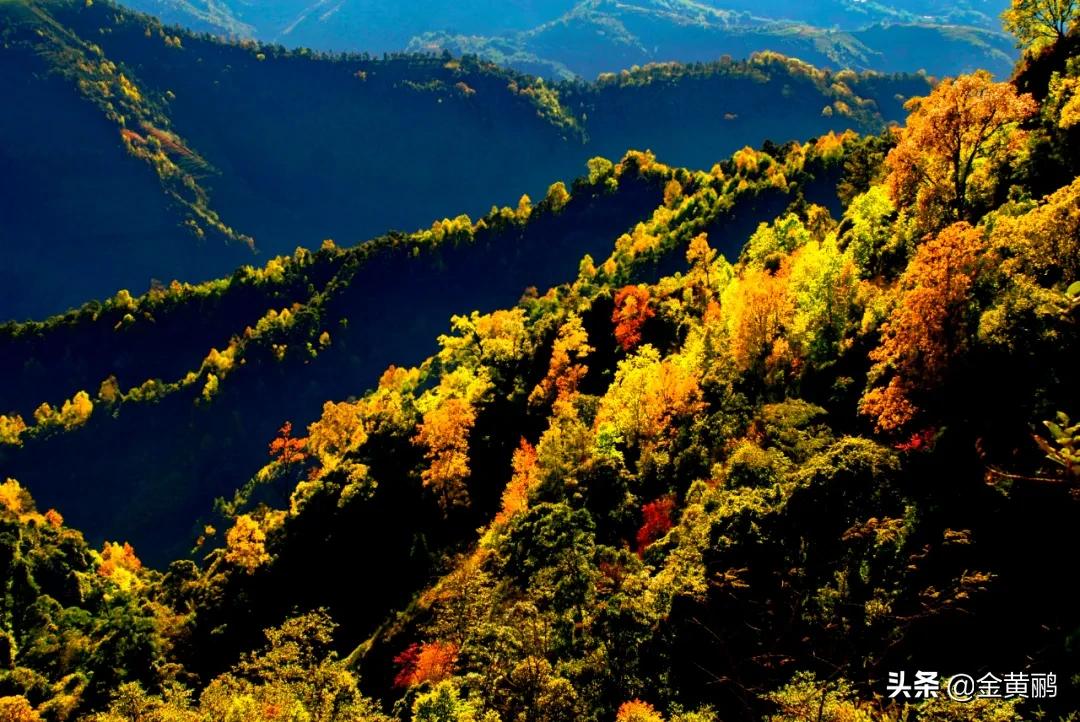 为什么云南女人长相好看,云南真的很漂亮吗