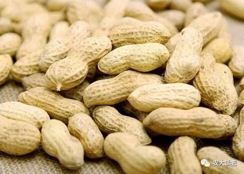 农大肥业简介,农大肥业高氮水溶肥