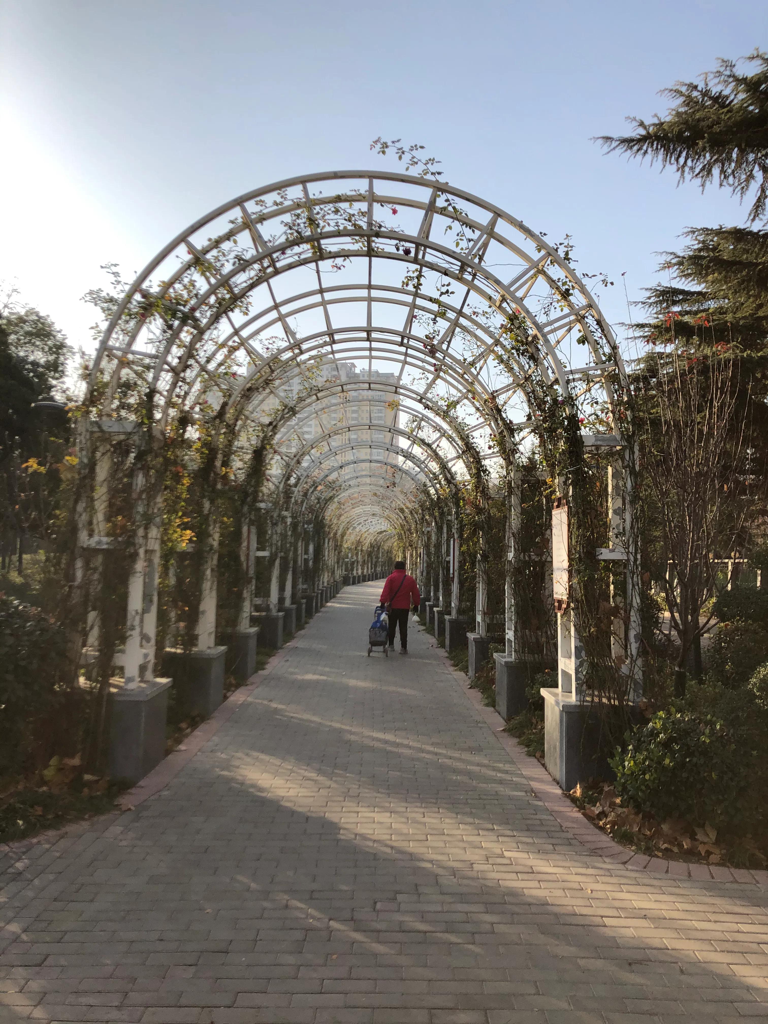 平顶山河滨公园旅游攻略,平顶山森林公园游记