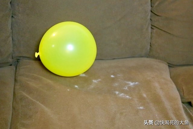 清除宠物毛发,去除屋内宠物毛发