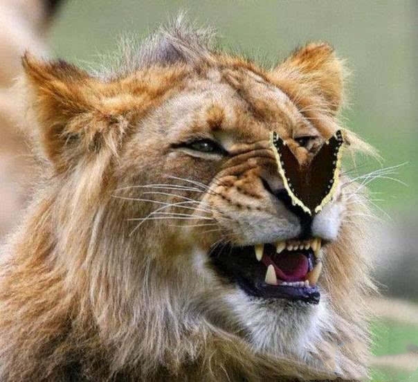 五官理疗仪鼻炎,针灸治疗过敏性鼻炎有效吗